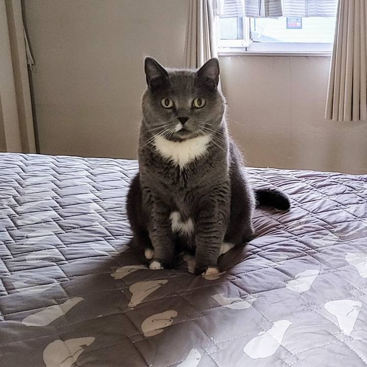 0944a25e 7d1b 42c1 8ef9 f489e0494ec2 1753609199727