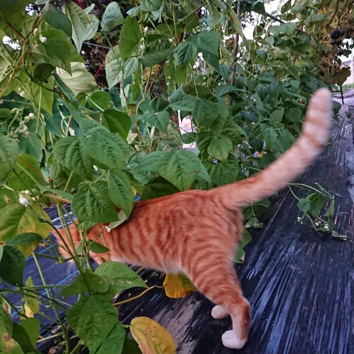 0944ceb3 6e7d 47e8 992f 0320a13a0a58 1565258359616