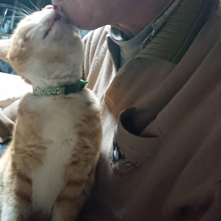 0944ef12 e309 4627 ace9 09a79f6abc03 1584562781769