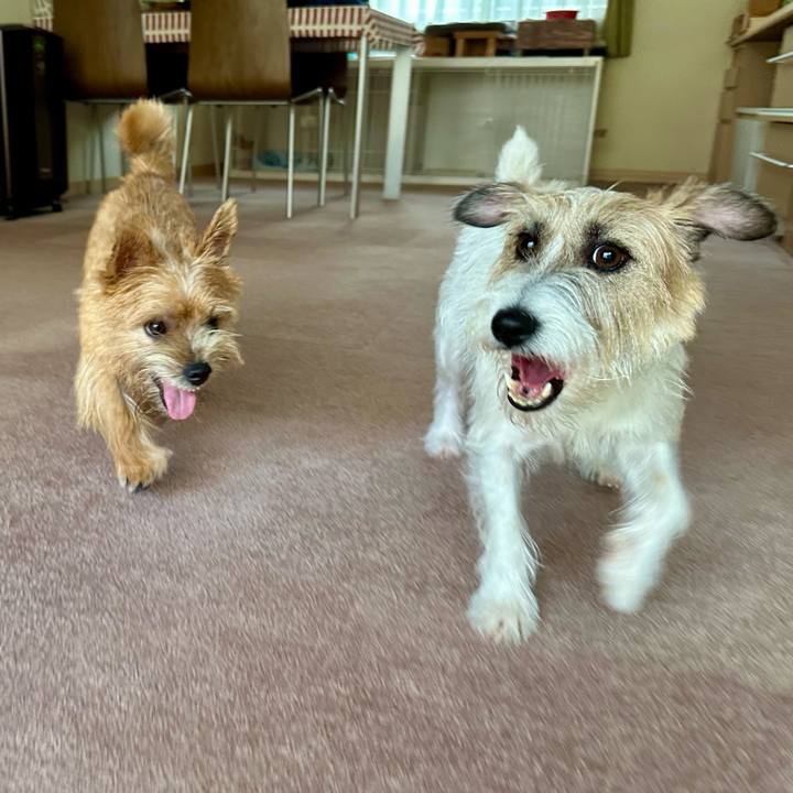 0945080d 9537 4810 8754 18e6db9c5067 1723275585306