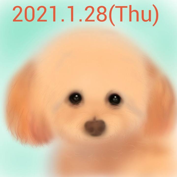 09455495 c07d 42cd 8cfd 7451e590584f 1611832355187