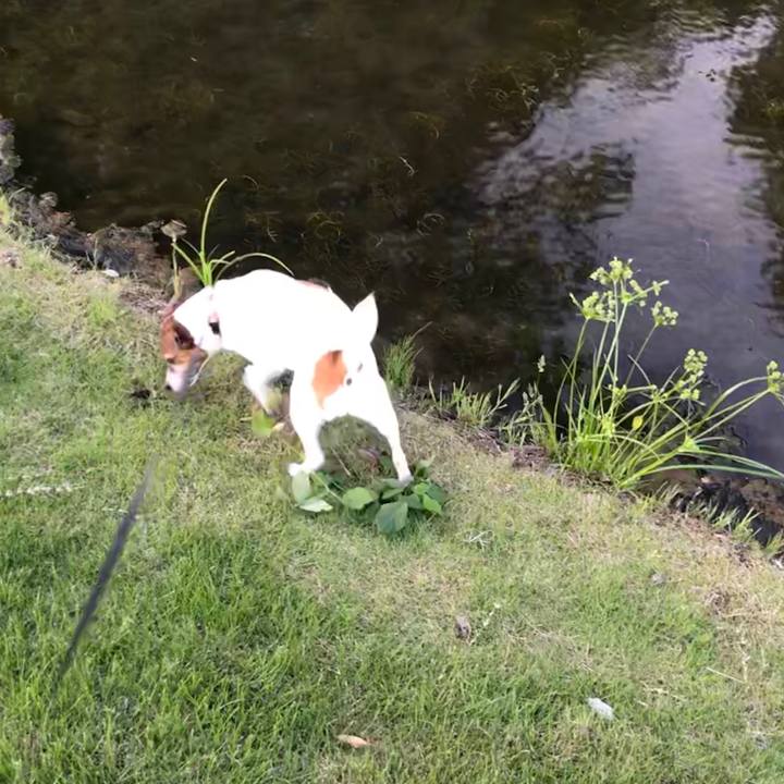 09456e8b 149e 49ae a5a6 83958451a696 1528195211324