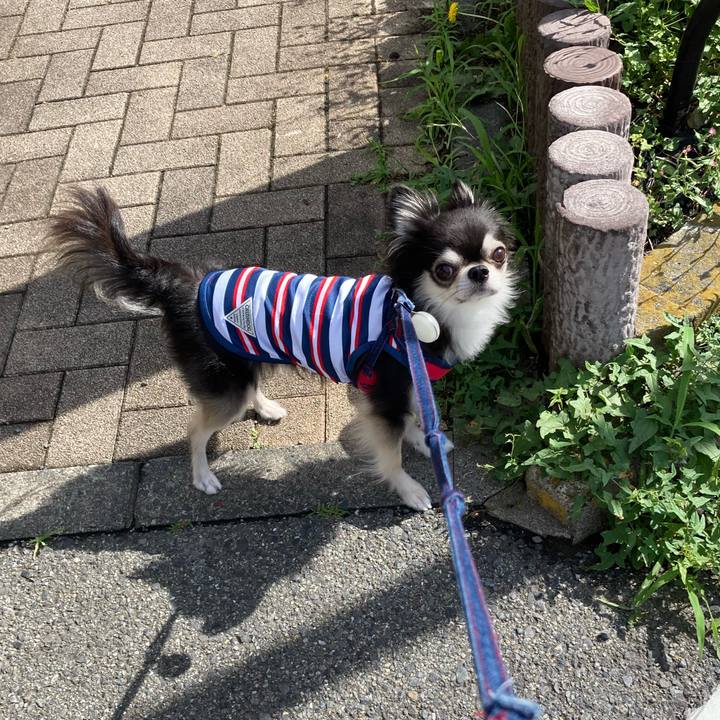 0945af9a b141 4027 b53d 19c6d1960bbe 1719072486674