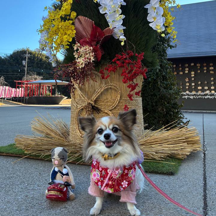 0945bbd8 ecc1 439d a01e a40ace7c5835 1767339574583