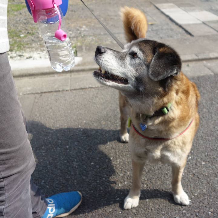 0945bff9 86ce 4a41 81b6 43e647e1802a 1664068592279