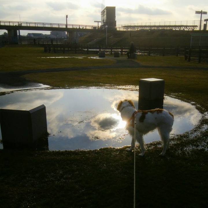 0945c22e 46f7 4fe3 8f11 189e116377b5 1549455575931