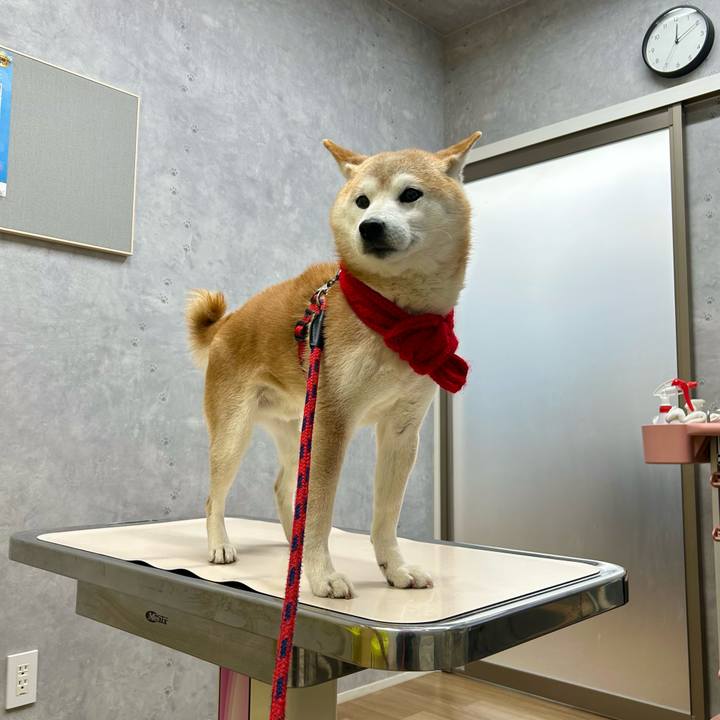 0945de3d 8e35 42b5 b257 d3b004307330 1739351215723