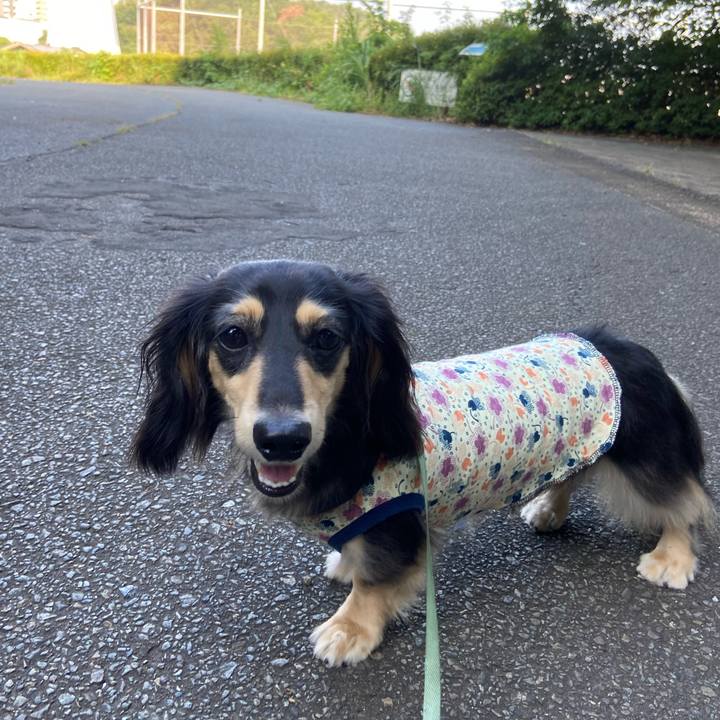 0945f409 a794 41e4 9481 273f117532c7 1723594165638