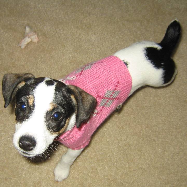 094624f9 638d 4bff a4e3 d9d8c7de3e30 1648504605516