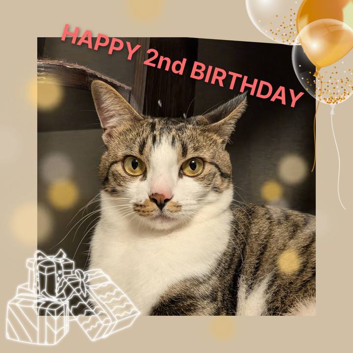 09464e8f 7e25 4480 97df c5cd541ee5b8 1775003986220