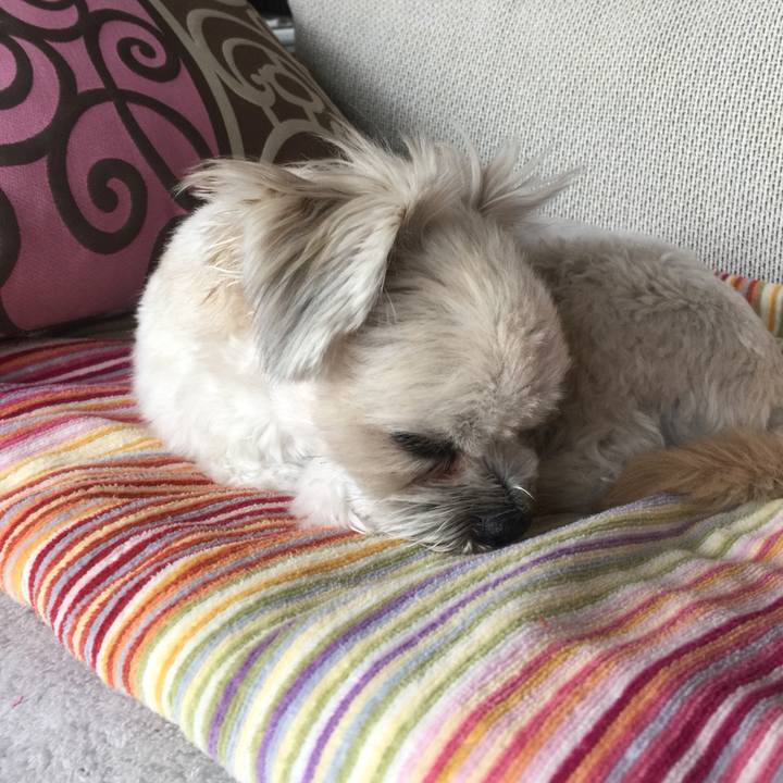 09468abc 052d 40bf 8c67 4b1b6e6e5119 1518433196963