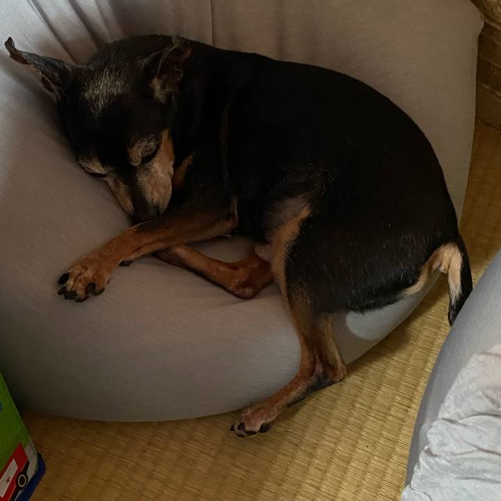 09469e5a 6ef7 4d67 8bfb ce2d0181a05e 1597319364674