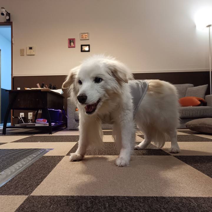 0946a108 0460 45ba 981e 22f31b33b717 1757240628909