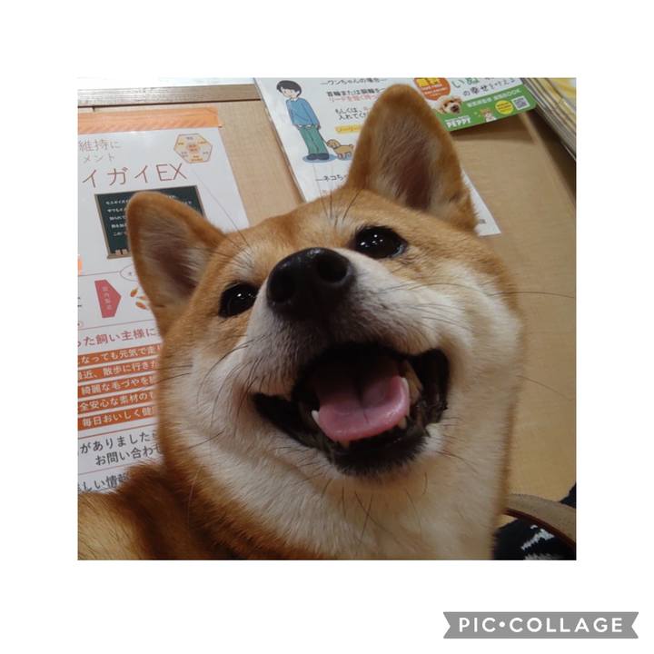 0946a857 11e2 45af 85ac 542201d8a12d 1675676886966