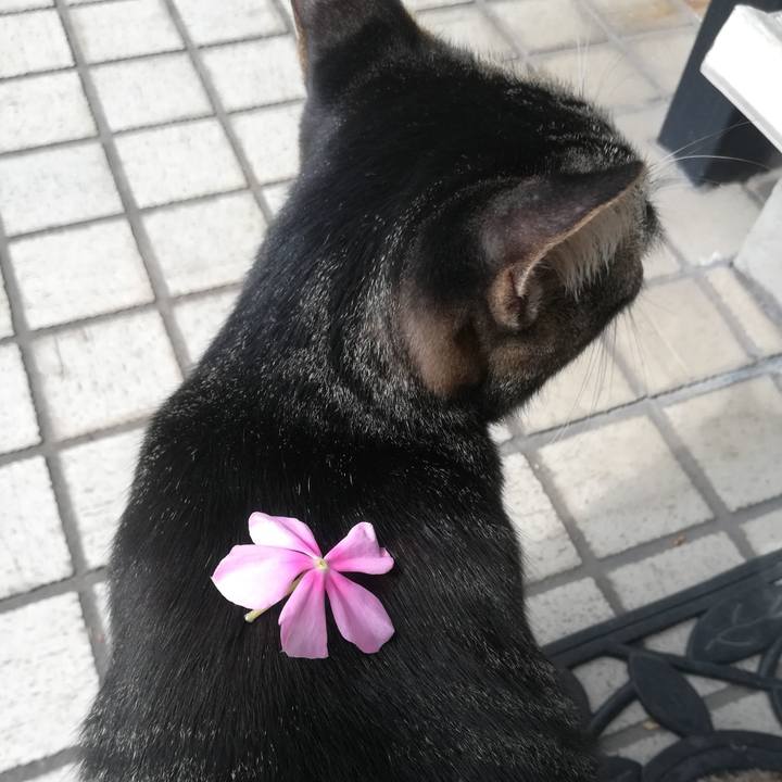 0946c7be 1d07 48f3 8cc5 8dcf2fd85a93 1572745000558