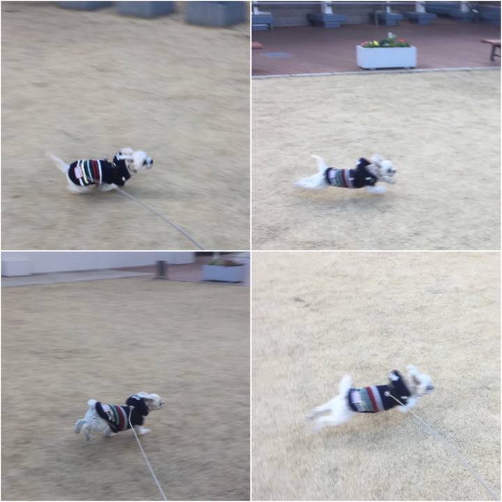 09470aaa bee7 4057 824f 46e1959cba7e 1514972373619