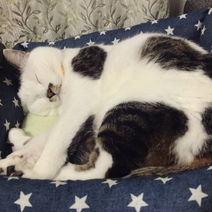 09471fb9 b538 498c 8dab 12914c99e00f 1590808954345