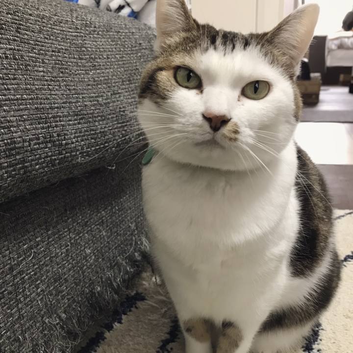 09474698 6919 4436 a3d7 348fe8deeed4 1550374122417