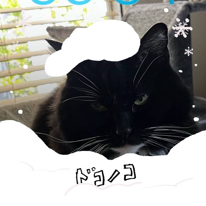 09475636 a8cf 42d4 b202 fbda8e3f0023 1772029349588