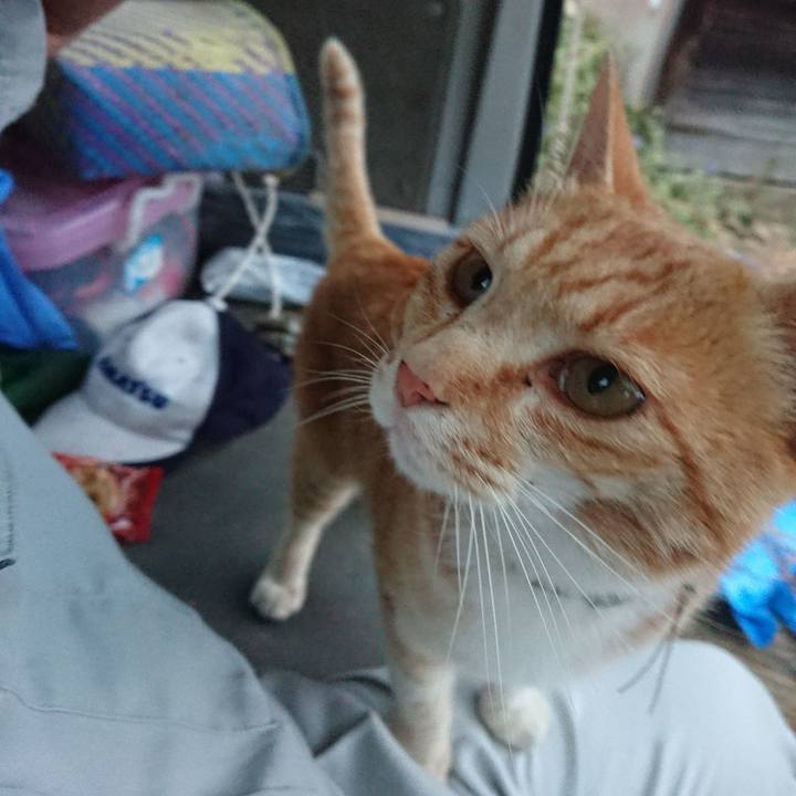 0948030d 2189 49b2 a555 9761bbf9e5a5 1591091877337