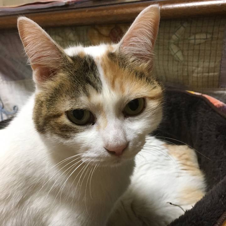 094807bd f754 4f9b a1ff f6307927c457 1513687941528