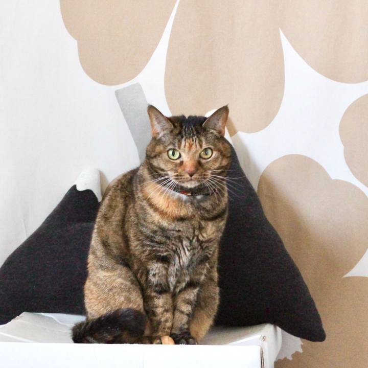 09481367 353b 4258 8ca0 7aecb1d462e3 1672097932930