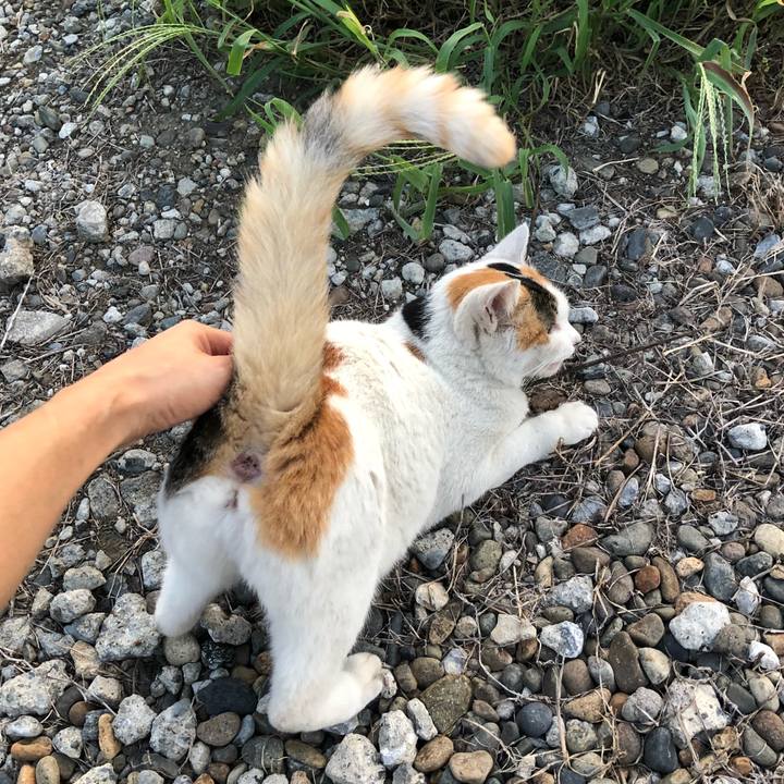 094832b6 7c24 4447 a594 3e892eb268c0 1536496571593