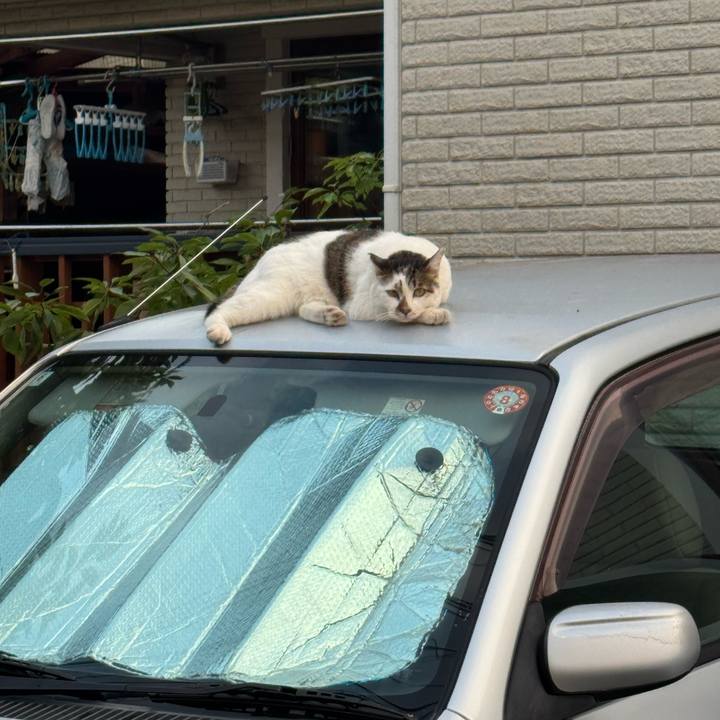 09483fc4 10dc 4d02 b2df 0e8fe1f0a447 1756763465900