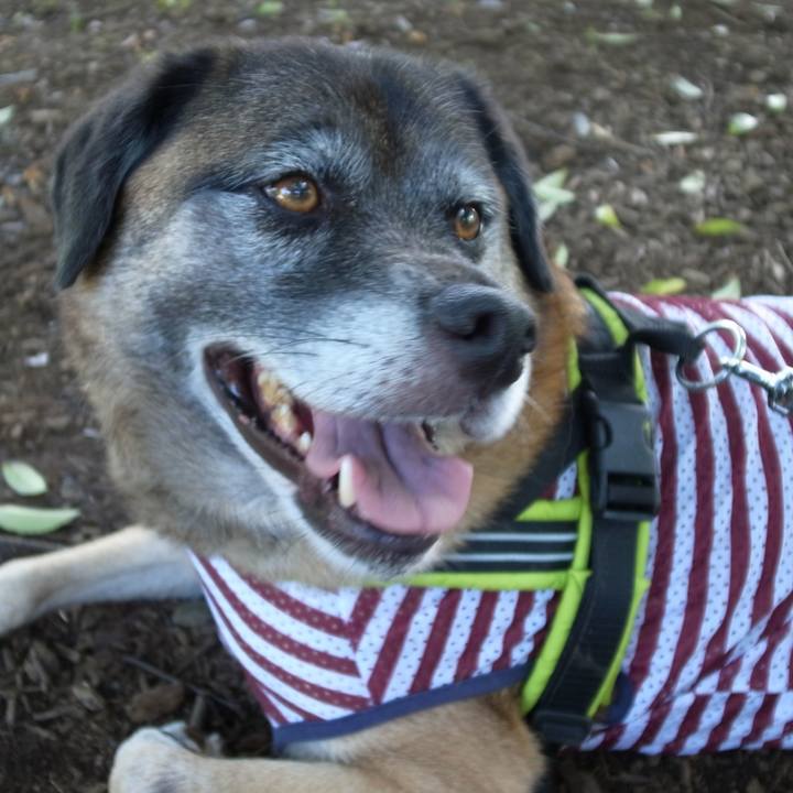 09484f2a e600 4250 8190 99fe79a6bb94 1582556814365