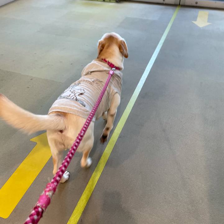 094855f7 6582 4b74 a171 0b09c8f53d39 1633414330873