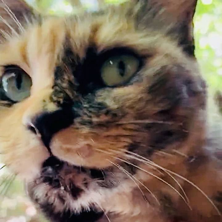 09486eaa 84ff 42b5 97e5 922854e2a3f8 1753430517116