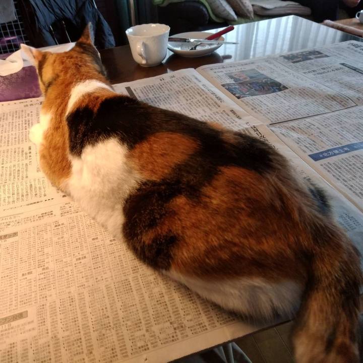 0948aba0 7945 4ef7 b8a1 44a95905cd0a 1647058147586