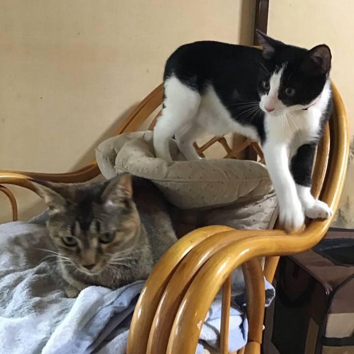 0948c6aa a105 4fe1 abaa ffe6ba0d8293 1628762169689