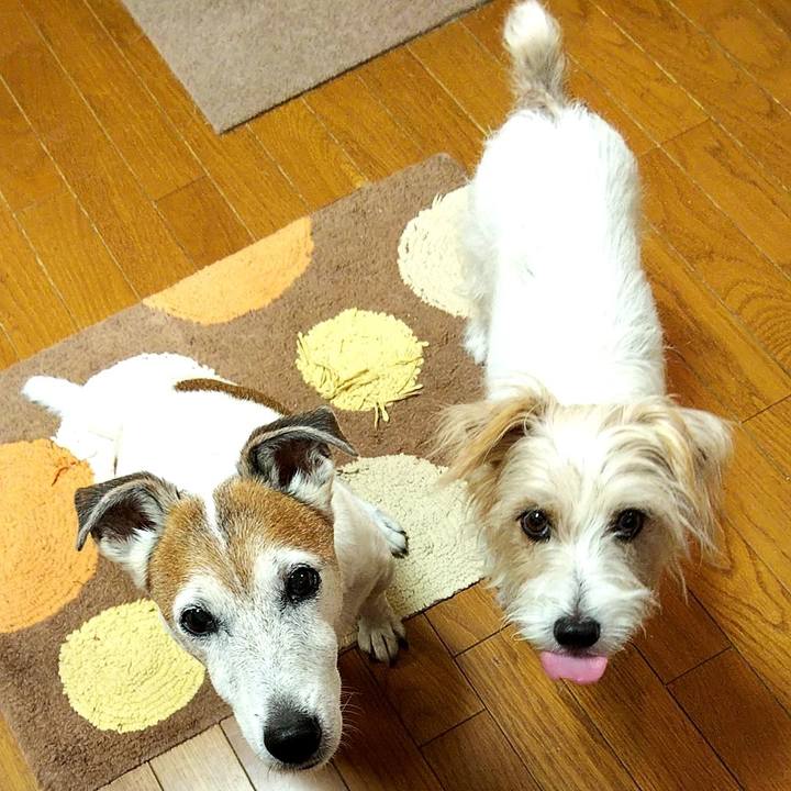 0948eec4 2a53 43d5 a994 98e88152ab82 1570141153832