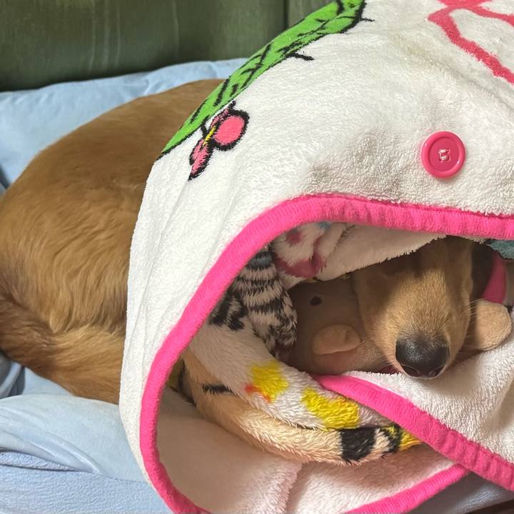 0948f31a 5596 4a5b 8af4 11d0b762a62f 1758368464590