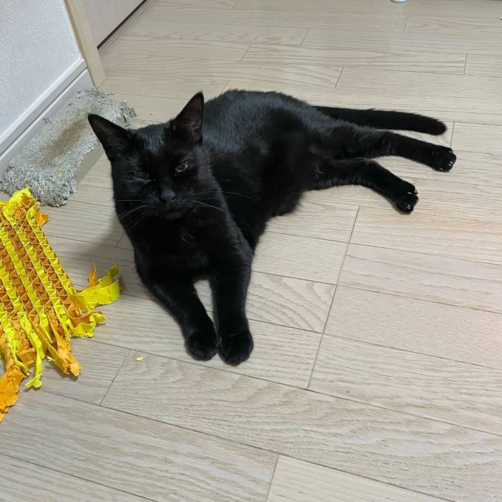 09495bf7 b5a8 4cf9 8465 53beaadbc80f 1768823834019