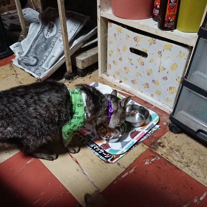 094964f2 17af 47f1 b97b bb1ab5a35409 1587588539388