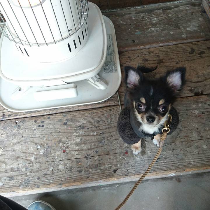 09496bb4 9216 4c34 bb72 1fa6016b30b6 1511323297237