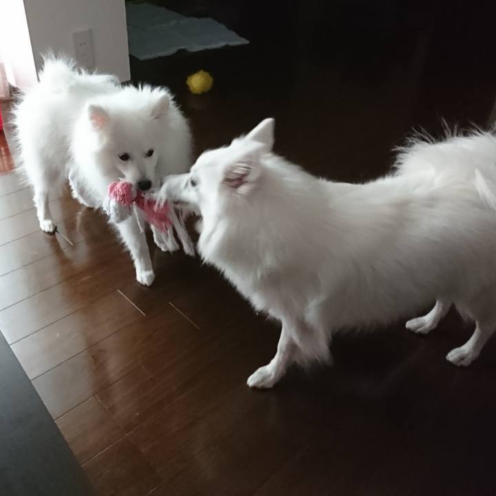 094986d8 7993 49b6 a087 82fb7f986cf8 1551590508406