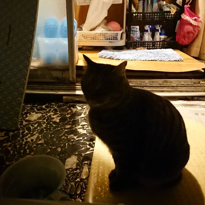 09498993 e0ef 44f9 8bc2 d3492be14ccb 1643110600711