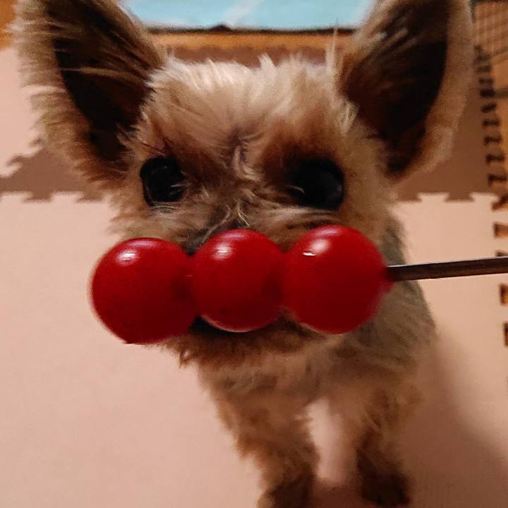 0949bc7e d09b 488b bbec 0ddcddeb6258 1584167913491