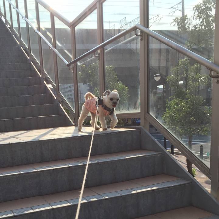 0949cb3e d31f 4a28 8efb b9b0aee136d6 1564877772082