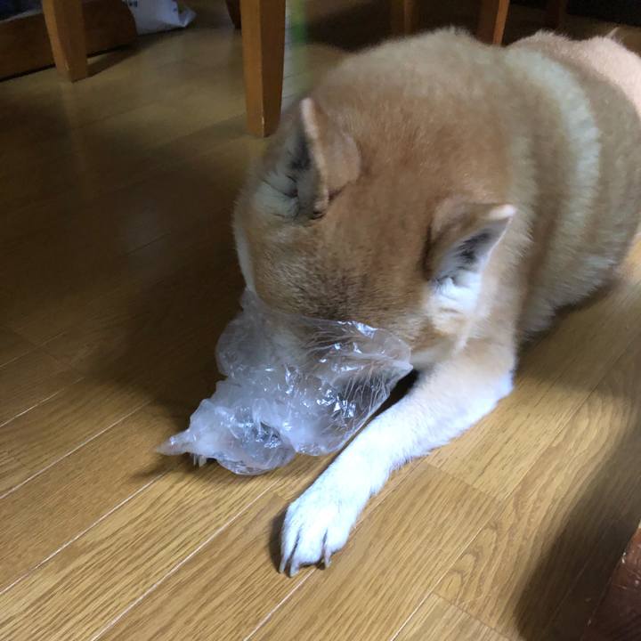 0949d1a2 babe 401a ae0a 144c3ce86072 1607772903025