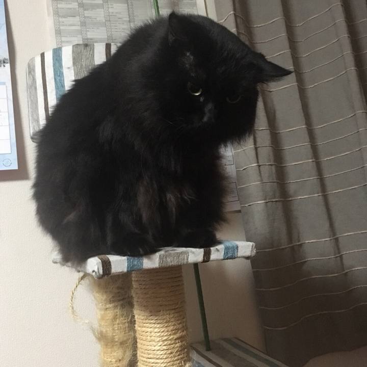 094a1c75 4a35 4d3e 91b6 cd979da9dcd7 1544720668423