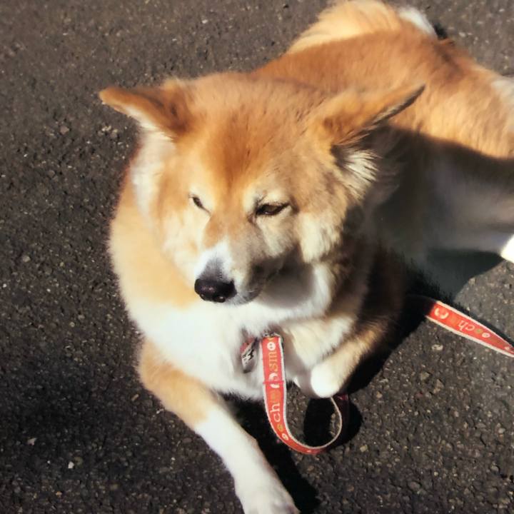 094a3de9 832e 46bc 8f45 f8fa3c3118c7 1550308872070