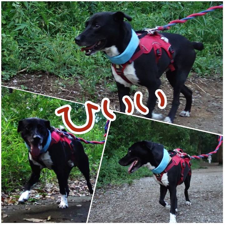 094a4177 3011 4151 a324 7403f1c5b3fd 1628506040016