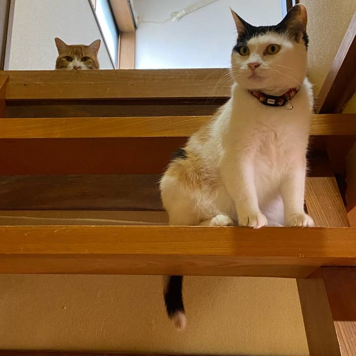 094aa2f5 801d 4f1f a637 52b9cc99916f 1657200923668