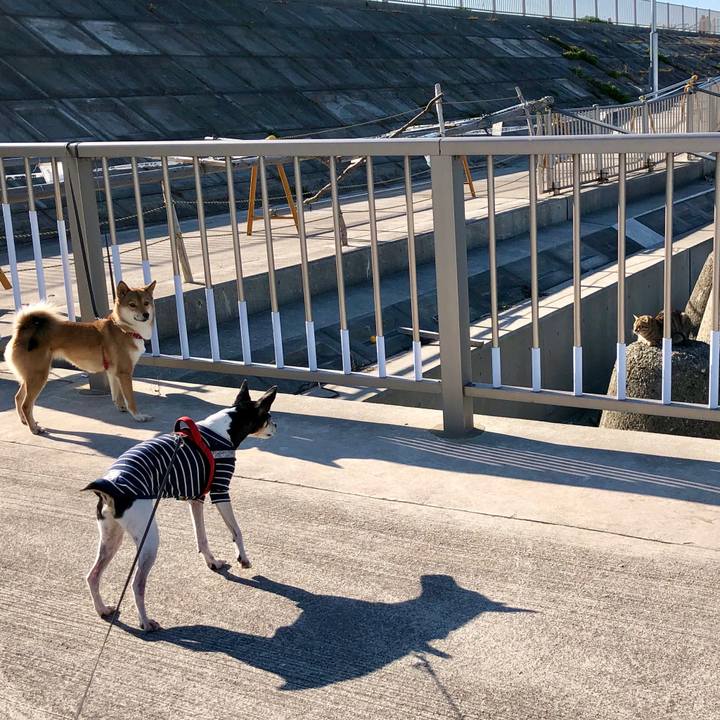 094aacef 5a75 44bd bf8f 031dbbcf1ec0 1547449490565