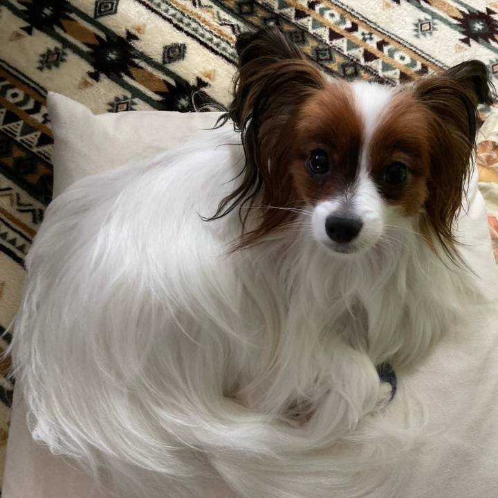 094ab870 7481 4851 9aa7 89bc955c54ec 1632638957250