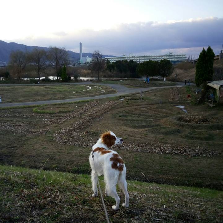 094abb7d 0c3c 479b aa16 93eeb1d3caf1 1516751466806